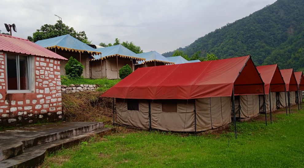 Jungle Aura Camp