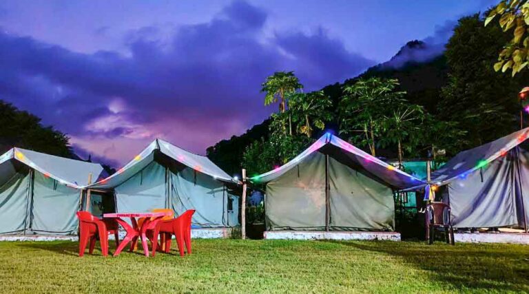 Camp Green Forest