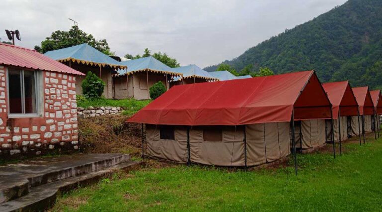 Jungle Aura Camp