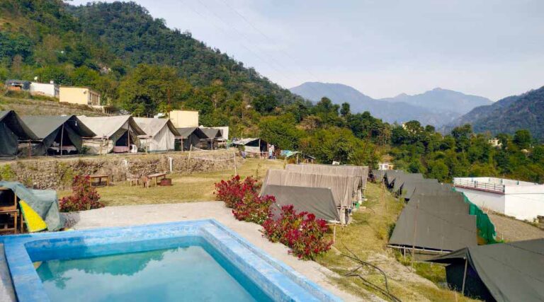 Camp Nature View