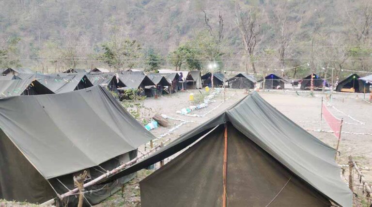 Jungle Aura Camp
