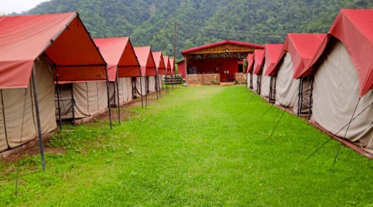 Jungle Aura Camp