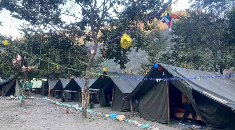 Jungle Aura Camp
