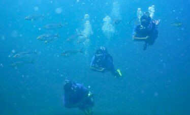 Underwater Diving in Shivrajpur beach Dwarka