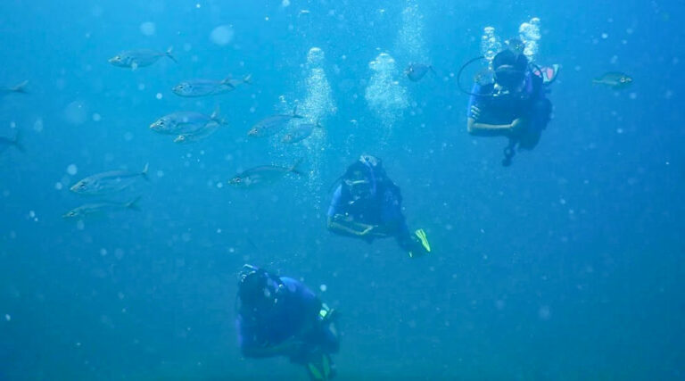 Underwater Diving in Shivrajpur beach Dwarka