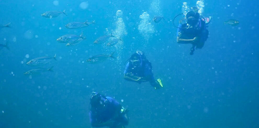 Underwater Diving in Shivrajpur beach Dwarka