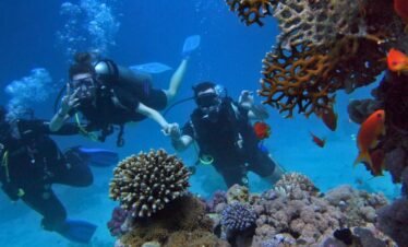Scuba Diving in Grand Island Goa