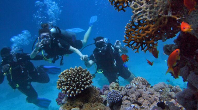 Scuba Diving in Grand Island Goa