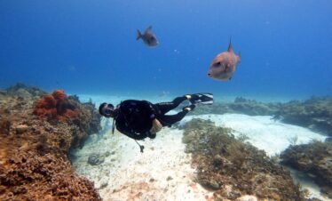 Tarkarli scuba diving