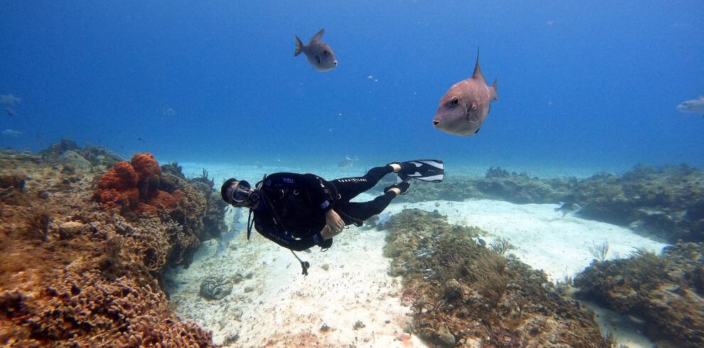 Tarkarli scuba diving