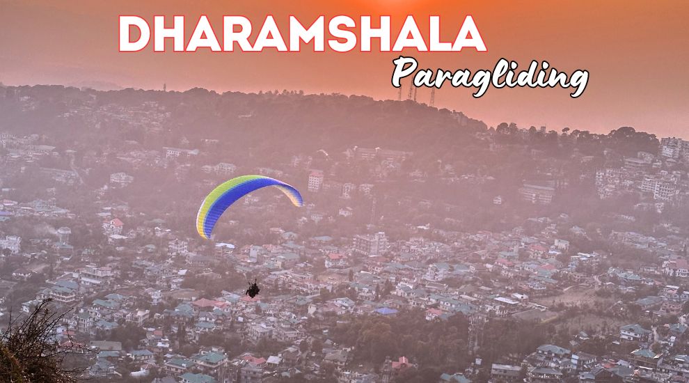 Paragliding in Dharamshala - Book Now!