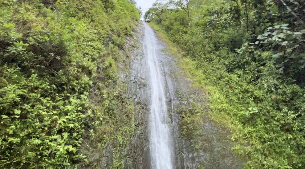 Manoa Falls Oahu Hawaii