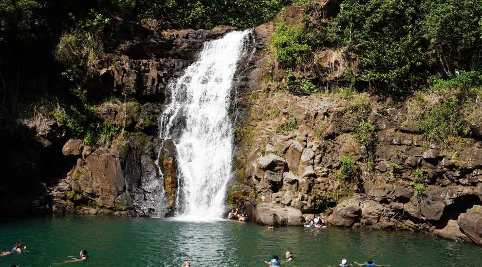 Waimea Falls - Best waterfall in Oahu for Swimming
