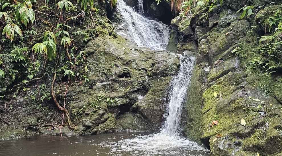 Waipuhia Falls Hawaii