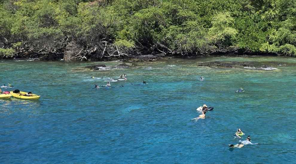Best Kona Snorkeling Tour & Trips