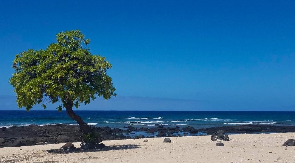 Kohanaiki Beach Park